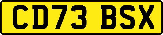 CD73BSX