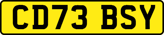 CD73BSY