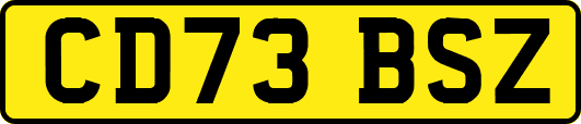 CD73BSZ