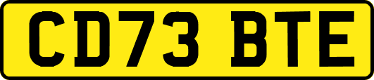 CD73BTE