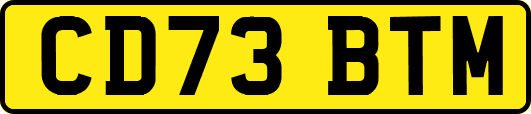 CD73BTM