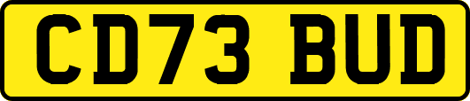 CD73BUD