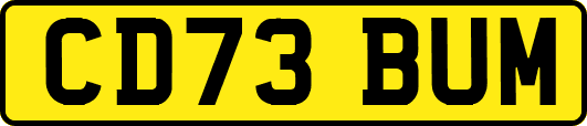 CD73BUM