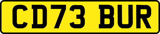 CD73BUR