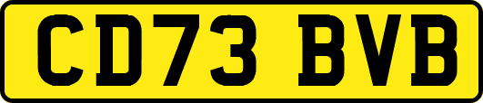CD73BVB