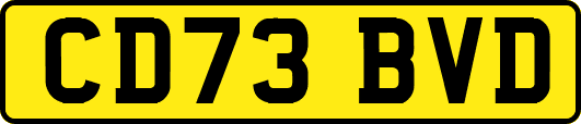 CD73BVD