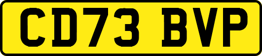 CD73BVP