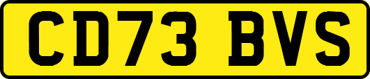 CD73BVS