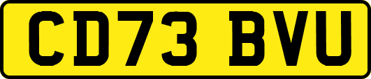 CD73BVU