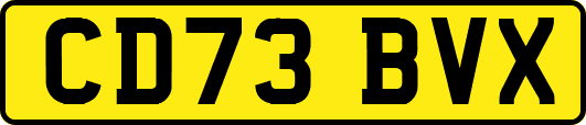 CD73BVX