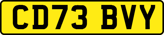 CD73BVY