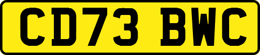 CD73BWC