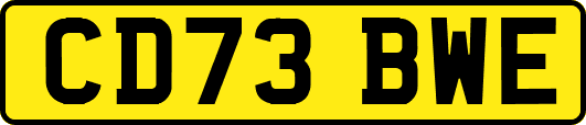CD73BWE