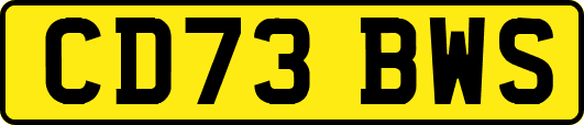 CD73BWS