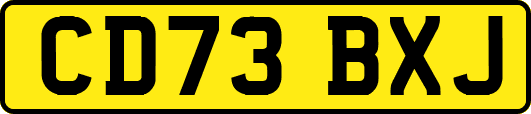 CD73BXJ