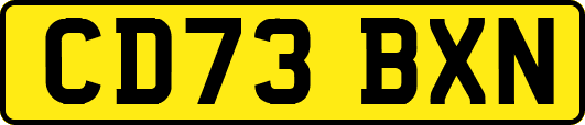 CD73BXN