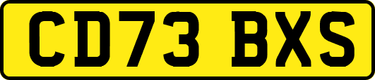 CD73BXS