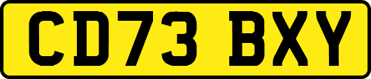 CD73BXY