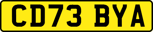 CD73BYA