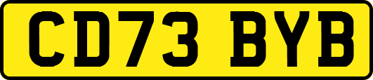 CD73BYB