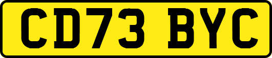 CD73BYC