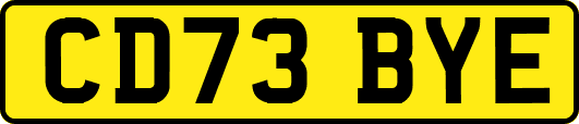 CD73BYE