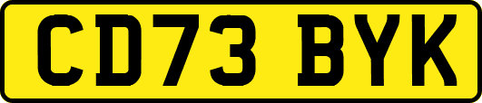 CD73BYK