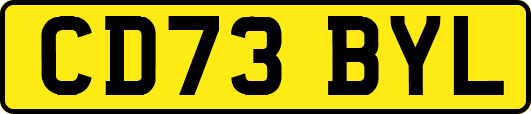 CD73BYL