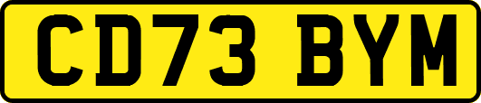CD73BYM