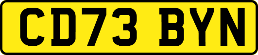 CD73BYN