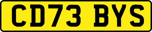 CD73BYS