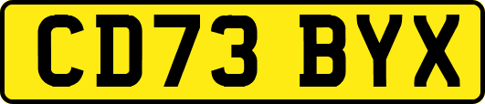 CD73BYX