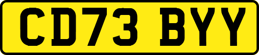 CD73BYY