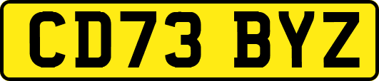 CD73BYZ