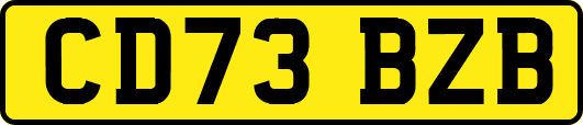 CD73BZB