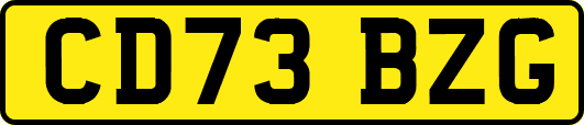 CD73BZG