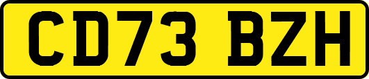 CD73BZH
