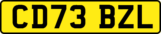 CD73BZL