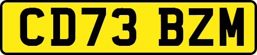 CD73BZM