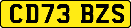 CD73BZS