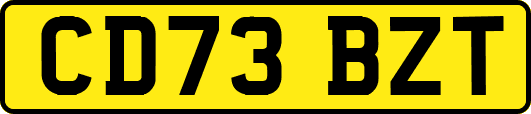 CD73BZT