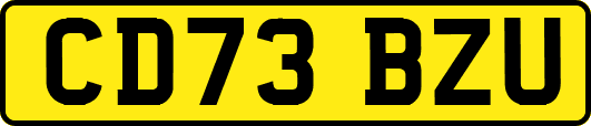 CD73BZU