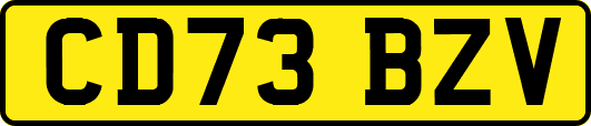 CD73BZV