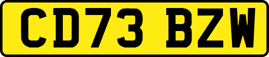 CD73BZW