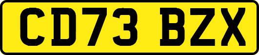CD73BZX