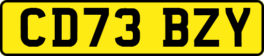 CD73BZY