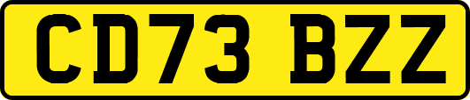 CD73BZZ