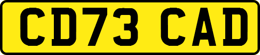CD73CAD