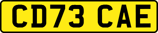 CD73CAE