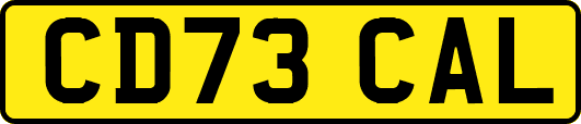CD73CAL